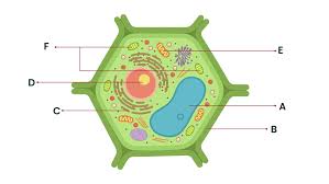 Check spelling or type a new query. Perhatikan Gambar Ini Berdasarkan Gambar Pena