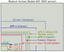 whats the crop factor between aps c and m43 micro four