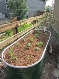 This spring, we decided to take the leap. Making A Self Watering Horse Trough Planter Valorie S Garden