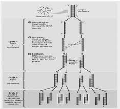 Shop online for all your home improvement needs: Https Www Peertechzpublications Com Uploads Specialissues Specialissue Pdf 238 Pdf