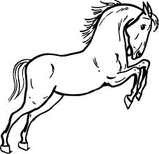 The set includes facts about parachutes, the statue of liberty, and more. Jumping Horse Coloring Page Purple Kitty