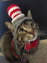 Top Hat Cat Hat Etsy Cat Hat Cats Cat Clothes