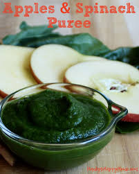 Apples Spinach Baby Food Puree Hanky S Happy Home Recipe Pureed Food Recipes Baby Spinach Recipes Baby Puree Recipes