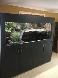 Terrarium Serpent Terrarium Serpent Terrarium Reptiles Pntrend Snake Terrarium Reptile Room Terrarium