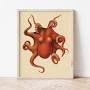 Profile Picture of Cephalopod Atlas 'octopus' Carl Chung Vintage Illustration by ... - Etsy (@etsy.com) on Google