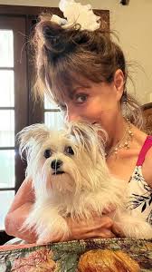 Coconuts Beach Club Resort