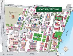 Nov 26, 2020 · แผนที่กลยุทธ์คณะแพทยศาสตร์ศิริราชพยาบาล 0; Lab Manual Contact Us