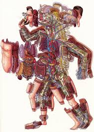 Evolution Irreducible Complexity Inside Human Body Drawings Drawing Illustration