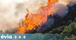 Μετά από 20 οικισμούς, πλέον κάηκαν επίσης η αγία άννα, η κεράμεια, η παλαιόβρυση, σύμφωνα με το eviazoom.gr. Oi Pente Hrwes Toy Mistroy 11 Xronia Apo Thn Tragwdia Poy Shmadepse Thn Eyboia