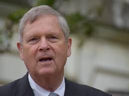 Vilsack: USDA may take stepped-in approach to ag debt relief