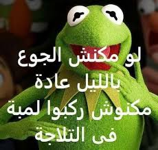 12 صورة نكت خلفيات رمزيات الضفدع كيرميت صورة 5 Fun Quotes Funny Funny Reaction Pictures Funny Dude