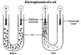 Results are explained from the diminished van der waals attraction between small particles. Explain About Electrophoresis Or Cataphoresis Or How Would You Detect The Presence Of Charges On Sol Particles Sarthaks Econnect Largest Online Education Community