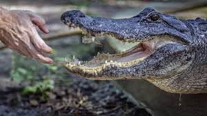 Hernando County real estate transactions for Dec. 25, 2015