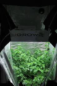 Hids, such as hps and mh are both not as ideal for seedlings as they are during the later stages of growth. 15 Paradigm Gardens Ideas Paradigm Igrow Grow Lights