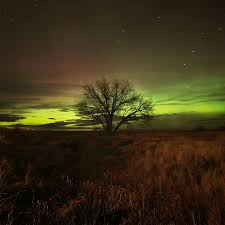 Pin By Sue Alexander On Northern Southern Lights Big Sky Country Billings Montana Northern Lights