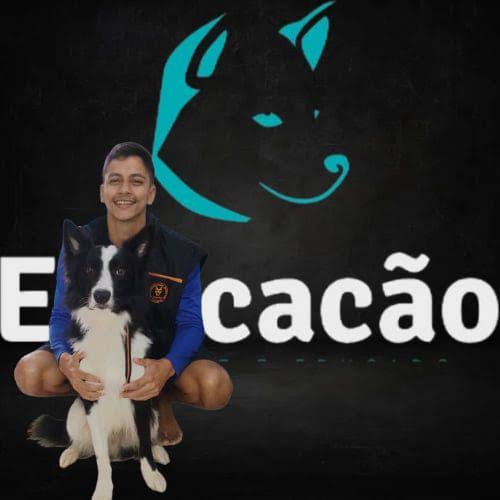 Treinador com cão