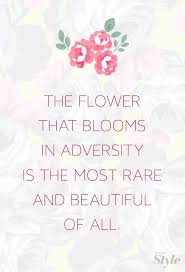 The Flower That Blooms In Adversity Is The Most Rare And Beautiful Of All Qotd Quoteoftheday Girlboss Cbloggers Words Mulan Quotes Flower Quotes