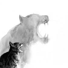 Meow Rawr Hayvanlar Hayvan Eskizleri Hayvan