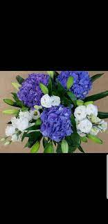Search for your new business partner here. Flower Bouquets Flower Wholesalers Auckland