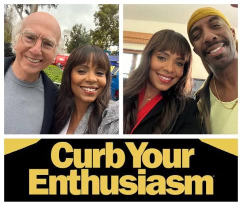 Sanaa Lathan Joins Cast Of HBO's Curb Your Enthusiasm For Season 12 —  BlackFilmandTV.com