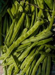 Image result for Cyamopsis