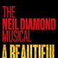 A Beautiful Noise