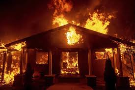 We are dedicated to giving quality service to our residential and commercial client's and have established a step by step program for solving any pest or wildlife problem. Remembering Paradise A Town Wiped Out By The Northern California Wildfire Honolulu Star Advertiser