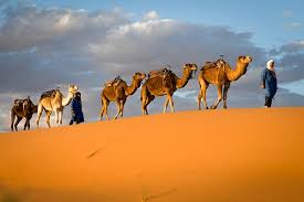 Steve greenwood submitted this fabulous illusion via email: The Camel Caravans Of The Ancient Sahara World History Encyclopedia