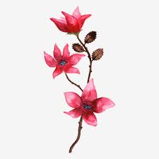 Free for commercial use no attribution required high quality images. Watercolor Red Cactus Flower Flowers Flower Watercolor Png Transparent Clipart Image And Psd File For Free Download