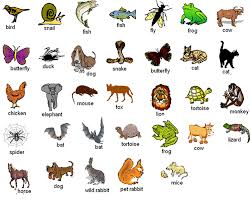 Living Beings Animals Welcome