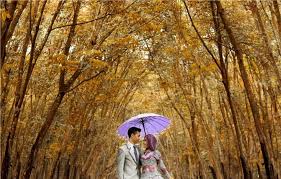 Foto prewedding merupakan pemotretan yang dilakukan oleh pasangan sebelum melaksanakan pernikahan secara resmi. Cari Spot Foto Di Kebun Karet Trikora Serasa Lagi Di Jepang
