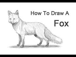 How To Draw A Fox Red Fox Youtube Use light, smooth strokes to begin. how to draw a fox red fox youtube