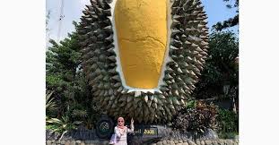 Mulai dari keragaman wisata kuliner, hingga wisata alam. 7 Tempat Wisata Favorit Di Bogor Nomor 3 Enak Bisa Makan Durian Baru Dipanen