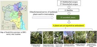 Image result for Otiophora pauciflora