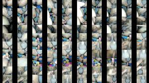 Indian gay - XNXX.COM