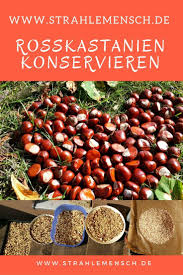 Rosskastanie Konservieren Trocknen Gesunde Mittagsrezepte Kastanien Kastanien Waschmittel