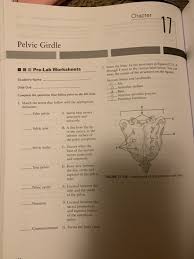 An epub ahead of print date for a citation in pubmed is not considered the official date of publication, and these papers are still considered in press. Solved Chapter Pelvic Girdle Pre Lab Worksheets Student S Chegg Com