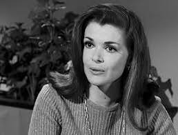 The Fugitive" The White Knight (TV Episode 1966)