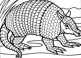 A few boxes of crayons and a variety of coloring and activity pages can help keep kids from getting restless while thanksgiving dinner is cooking. Free Printable Armadillo Coloring Pages Elimu Centre