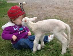 Animal farm petting zoo photos. Farm Visit Brisbane Find A Petting Zoo Near You Families Magazine
