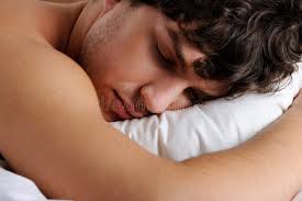 A Close-up of a Dog Sleeping