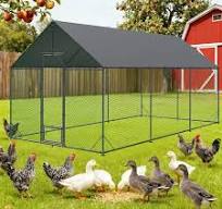 Las mejores ofertas en Casas de aves de corral patio trasero ...