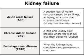 chronic kidney failure