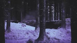 The winter fun time has come! Psychopath Shared By Fire On We Heart It