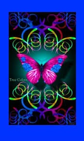 I see your true colors. True Colors Buonanotte A Tutti Gli Amici Del Gruppo Facebook