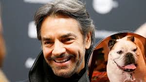 Eugenio Derbez hace una gran reflexión tras la partida de su compañera de  vida Fiona