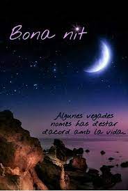 500 Mejores Imagenes De Bona Nit En 2020 Bona Saludos En 2021 Imagenes De Buenas Noches Buenas Noches En Catalan Buenas Noches Frases