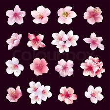 Download 10,750 cherry blossom flower drawing stock illustrations, vectors & clipart for free or amazingly low rates! Black And White Cherry Blossom Tree Drawing Novocom Top
