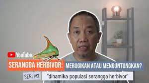 Manusia dengan kemajuan teknologinya telah berhasil membuat berbagai produk. Serangga Herbivor Menguntungkan Atau Merugikan Seri 2 Dinamika Populasi Serangga Herbivor Youtube