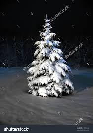And they have so many adorable details kids can have fun coloring! 15 Snow Covered Trees Ideas Snow Covered Trees Snow Pine Tree